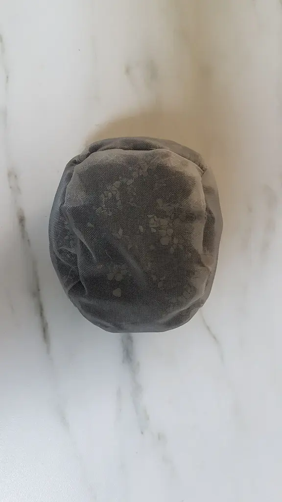 Filtre charbon (réservoir arrière)